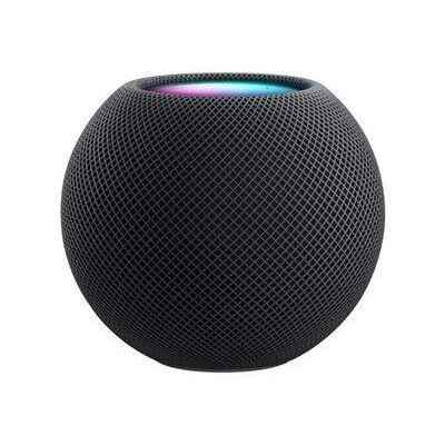 product/a/p/apple_8700119_noir_1.jpg