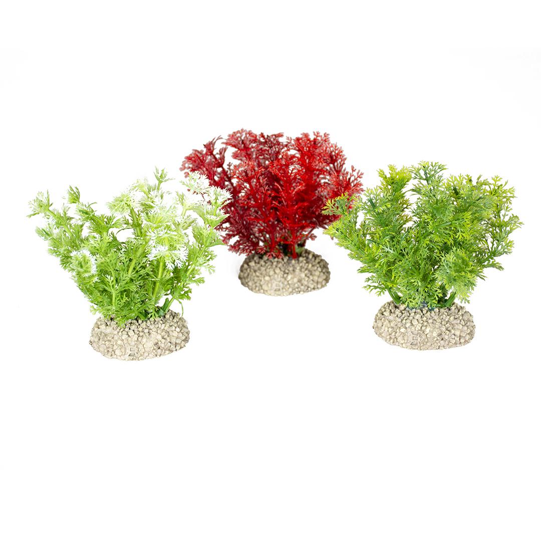 product/a/q/aqua-della_242_457955_vert-rouge_1.jpg