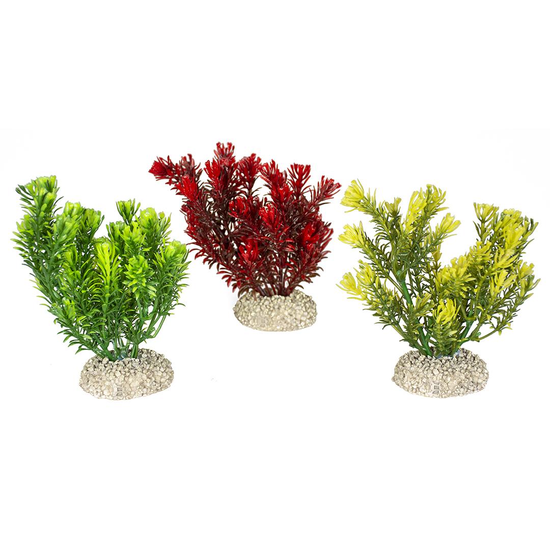 product/a/q/aqua-della_242_458204_vert-jaune-rouge_1.jpg