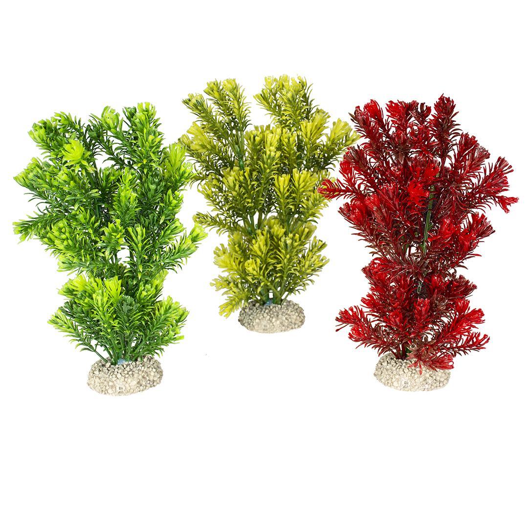 product/a/q/aqua-della_242_458204_vert-jaune-rouge_2.jpg