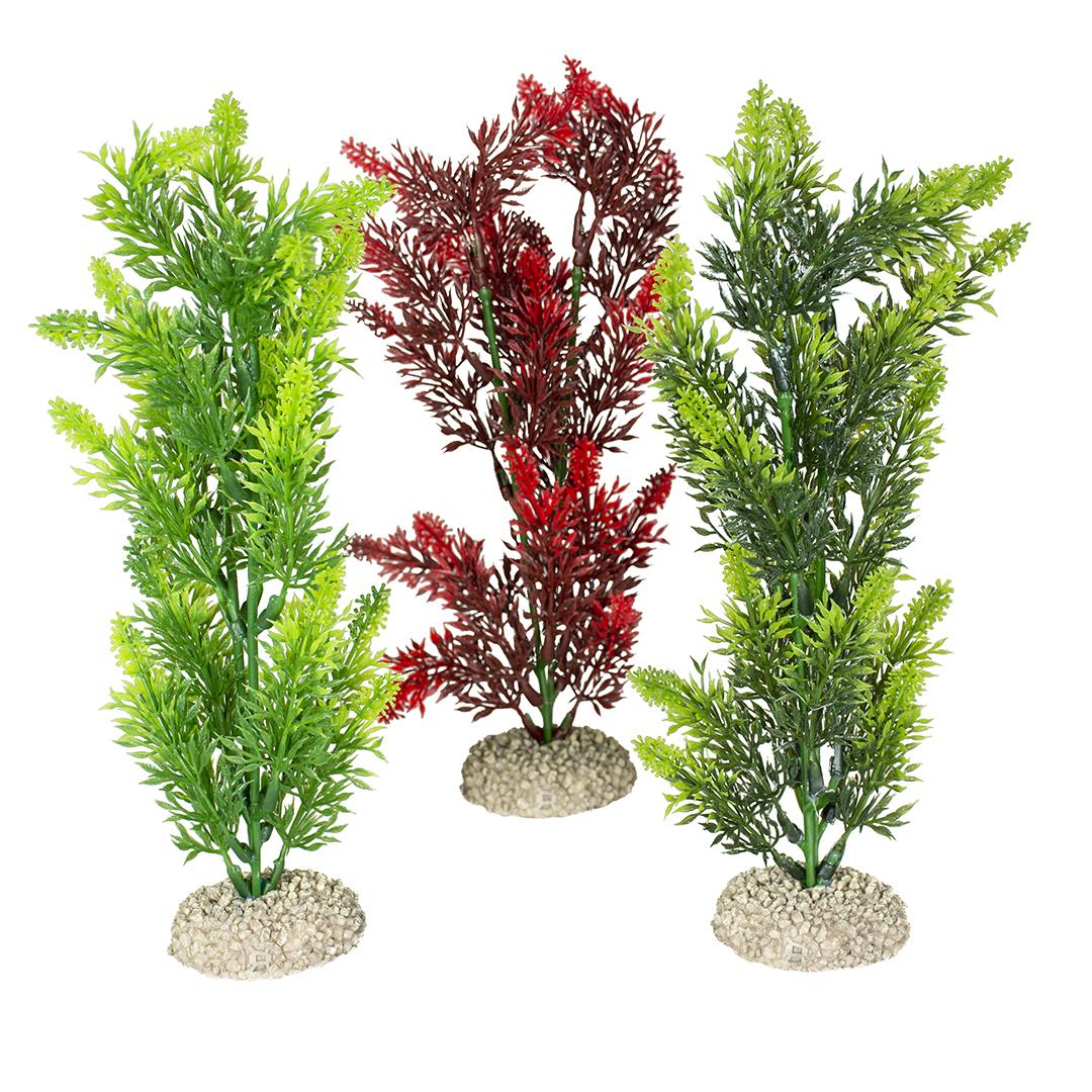 product/a/q/aqua-della_242_458402_vert-rouge_2.jpg