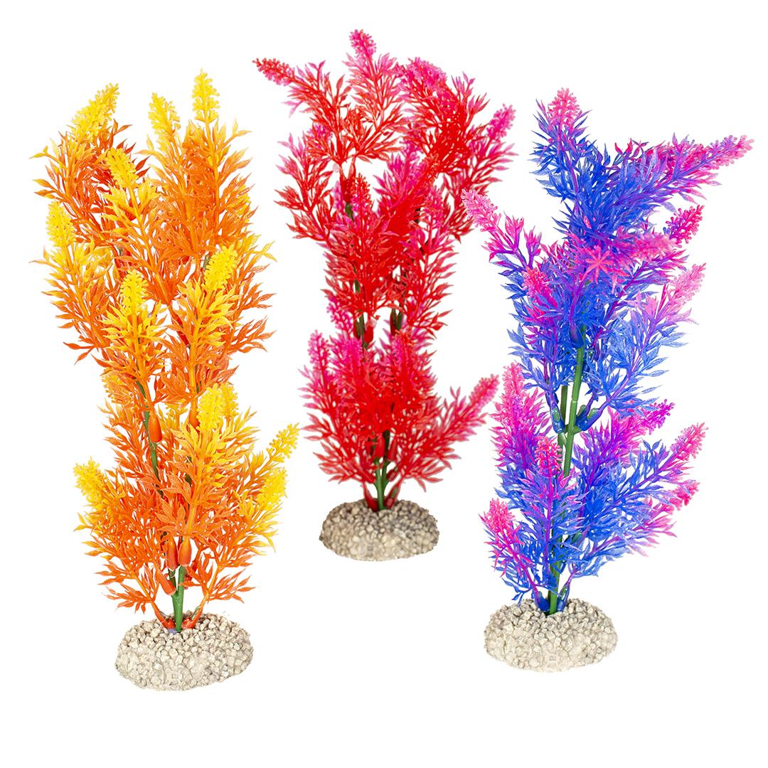product/a/q/aqua-della_242_458440_orange-rouge-violet_2.jpg