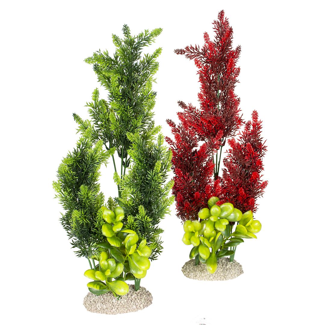 product/a/q/aqua-della_242_458488_vert-rouge_2.jpg