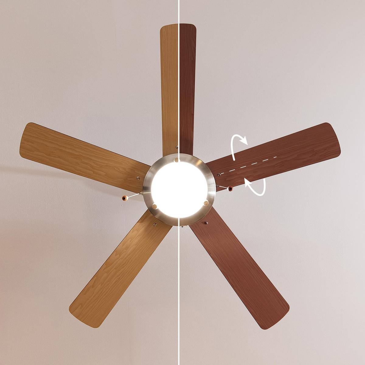 product/c/e/cecotec_05941_marron_5.jpg