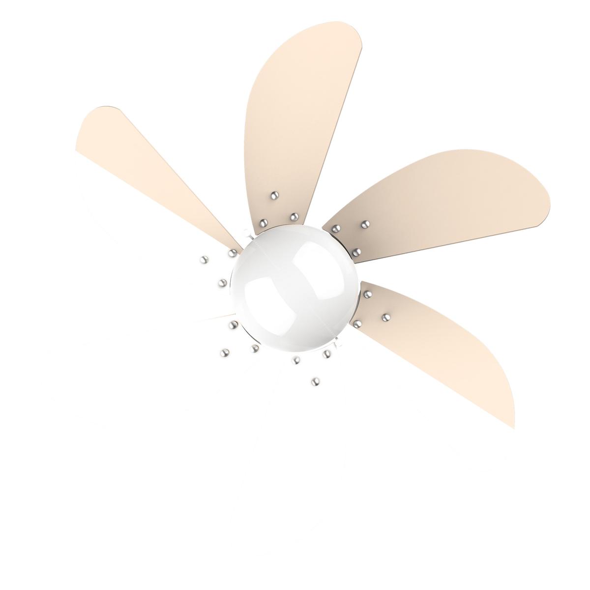 product/c/e/cecotec_05963_sunlight_3.jpg