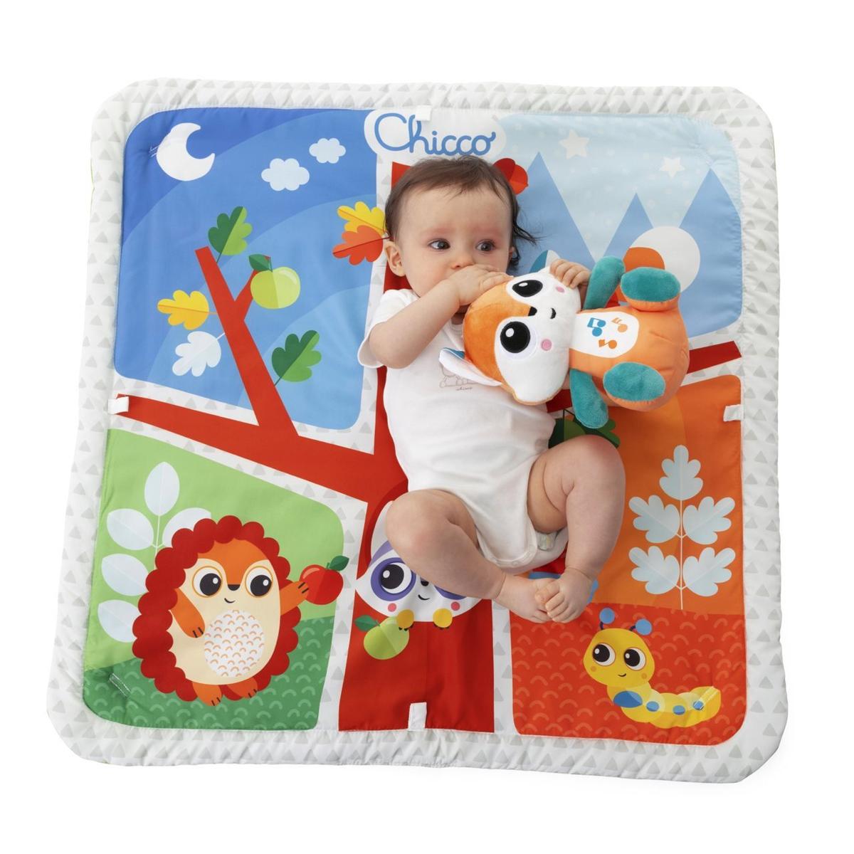 product/c/h/chicco_000113100000000_multicolore_3.jpg