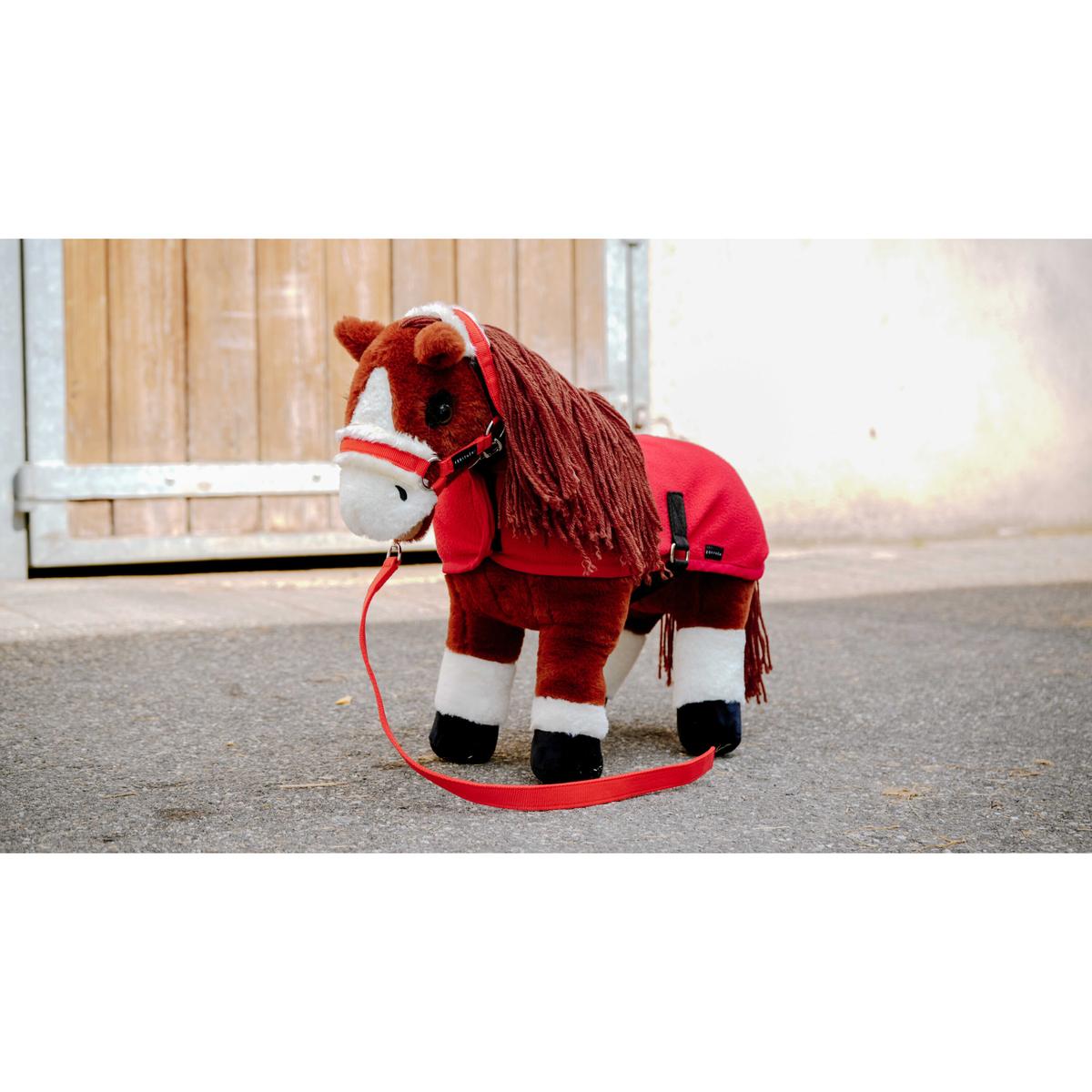 product/e/k/ekkia_901426003_rouge_3.jpg
