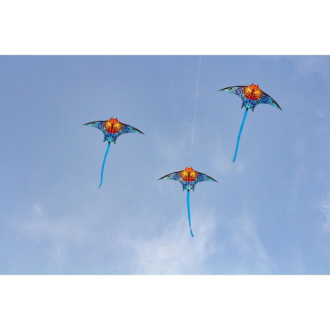 product/h/q/hq-kites_mantak_bleu_2.jpg