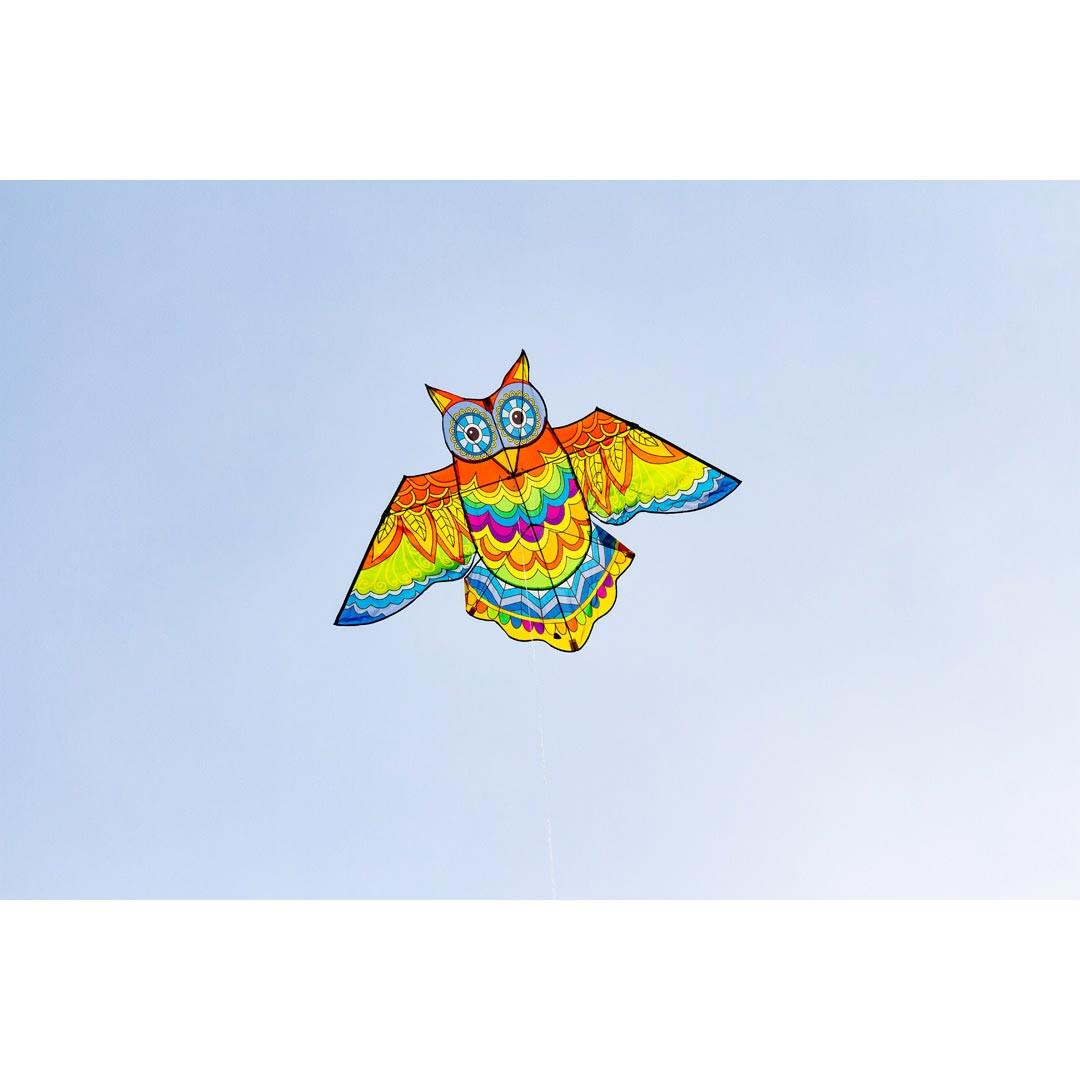 product/h/q/hq-kites_owlk2_multicolore_2.jpg