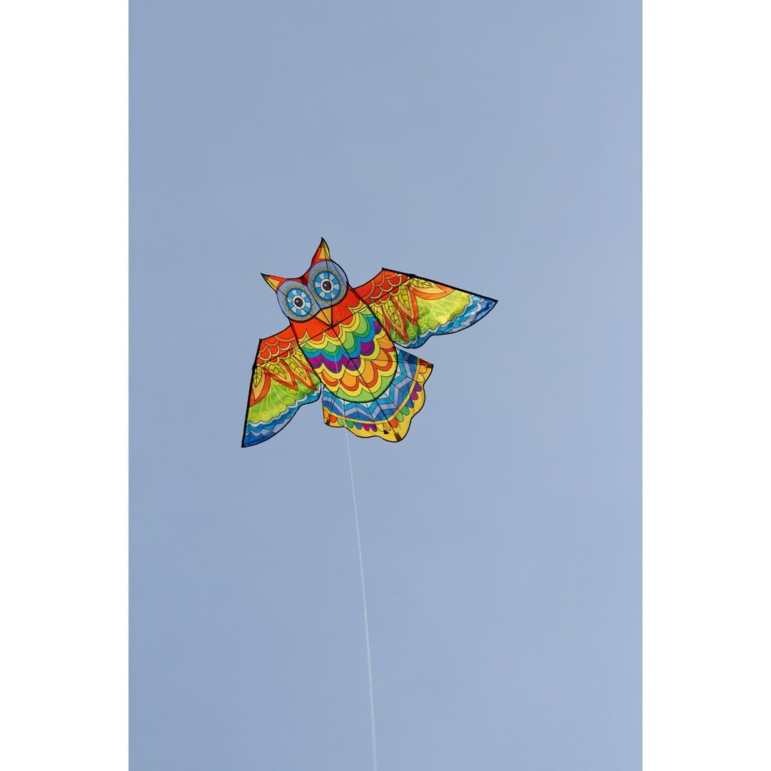 product/h/q/hq-kites_owlk2_multicolore_3.jpg