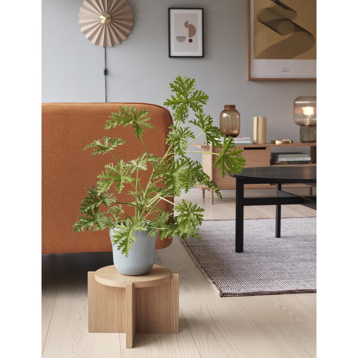 product/h/u/hubsch-interior_991310_4-nw041524.jpg