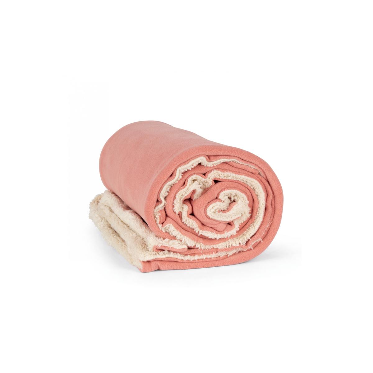 product/k/-/k-up_kp431-pralinerose_praline-rose_1.jpg