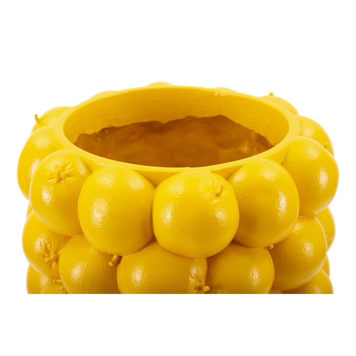 product/m/a/mauro-ferretti_042095000l_yellow_5.jpg