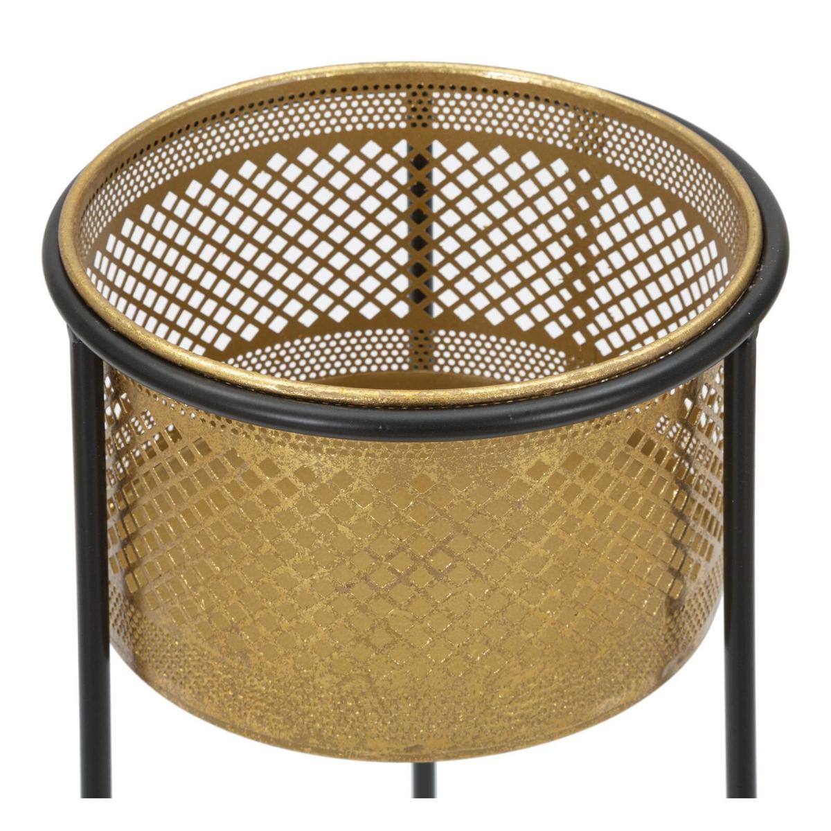 product/m/a/mauro-ferretti_1423930000_gold-black_3.jpg