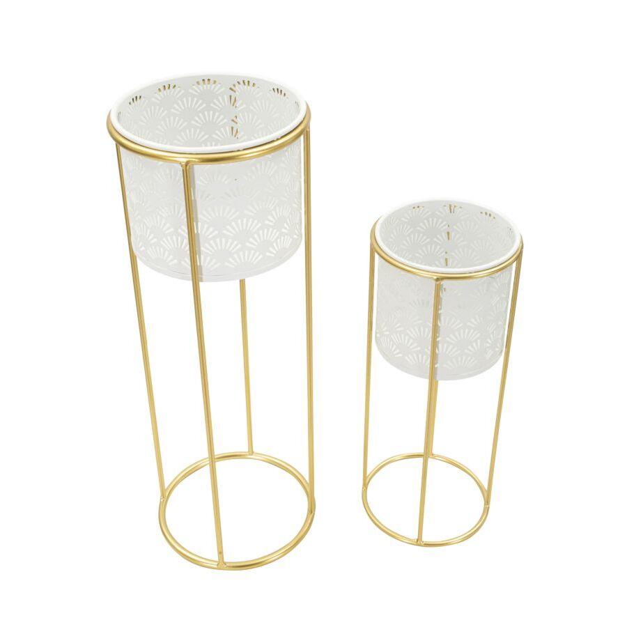 product/m/a/mauro-ferretti_1427910000_gold-white_2.jpg