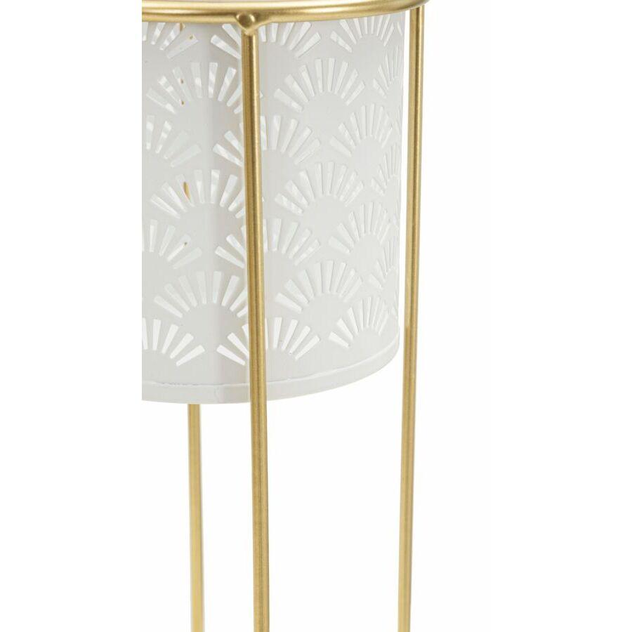 product/m/a/mauro-ferretti_1427910000_gold-white_4.jpg