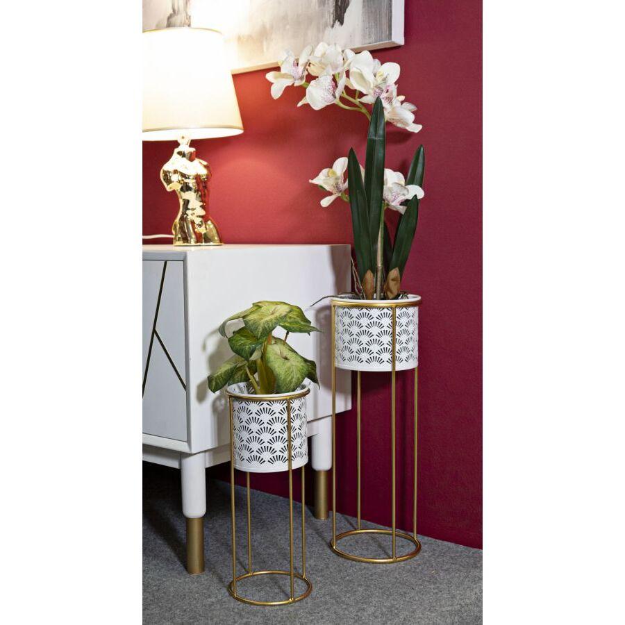 product/m/a/mauro-ferretti_1427910000_gold-white_5.jpg