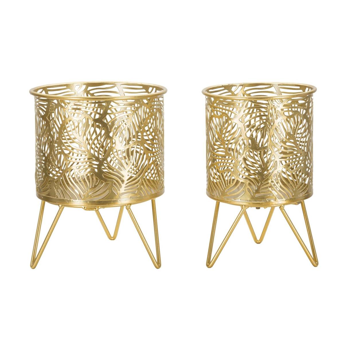 product/m/a/mauro-ferretti_1427950000_gold_1.jpg