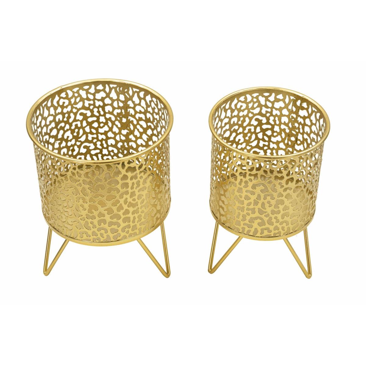 product/m/a/mauro-ferretti_1427960000_gold_2.jpg