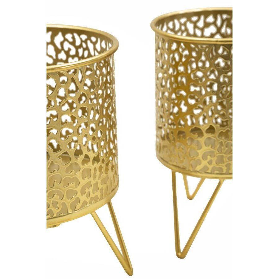 product/m/a/mauro-ferretti_1427960000_gold_3.jpg
