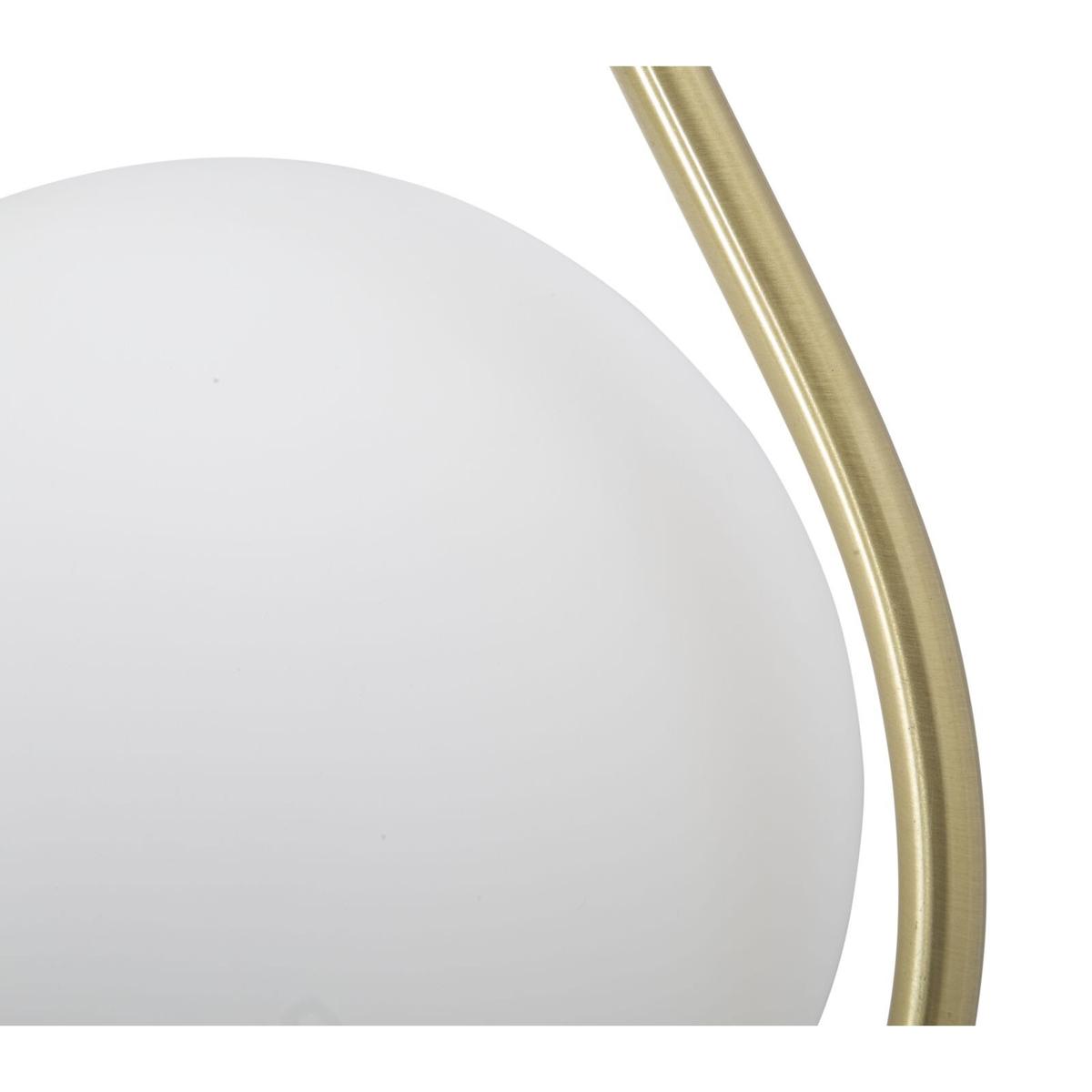 product/m/a/mauro-ferretti_1711360000_gold-white_5.jpg