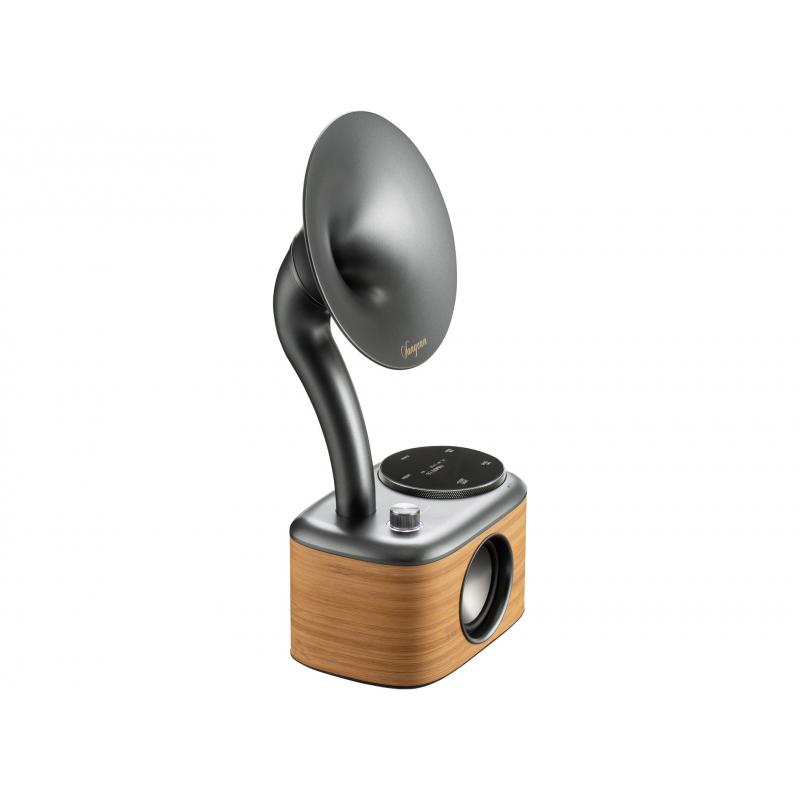 product/s/a/sangean_sg-cp100d_lg_wood_3.jpg