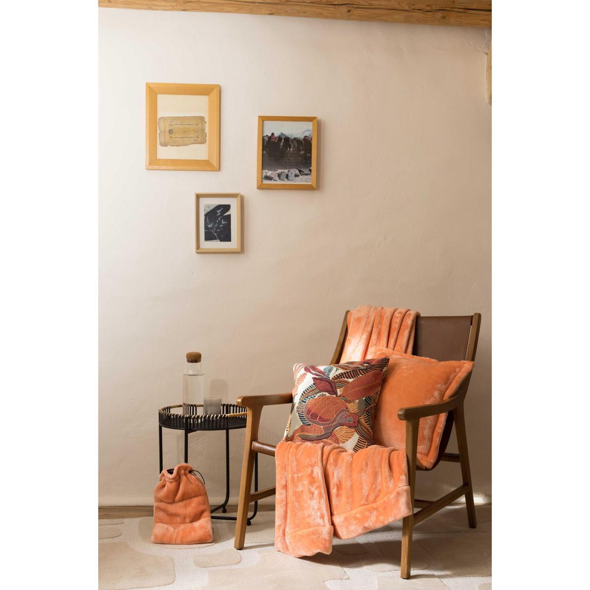 product/v/i/vivaraise_1646042000_papaye_6.jpg