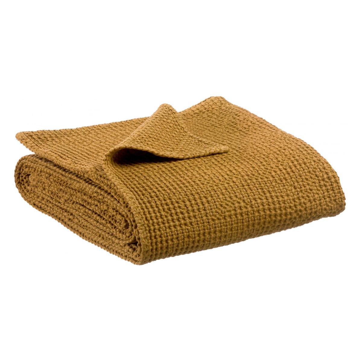 product/v/i/vivaraise_1670040000_0.jpg