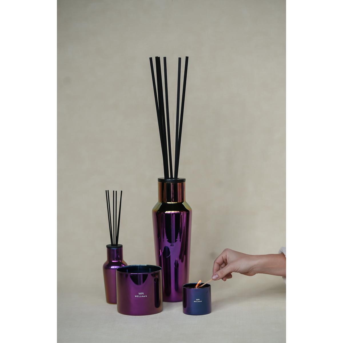 product/w/e/wellmark_8720938454264_1.jpg
