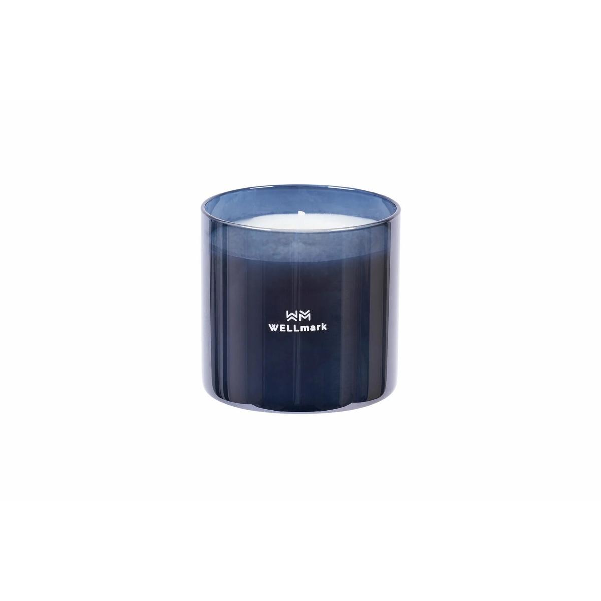product/w/e/wellmark_8720938454288_0.jpg