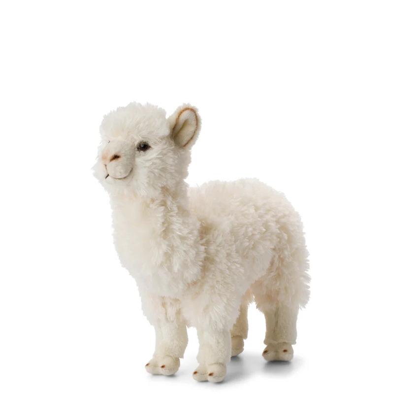 product/w/w/wwf_15198001_blanc_1.jpg