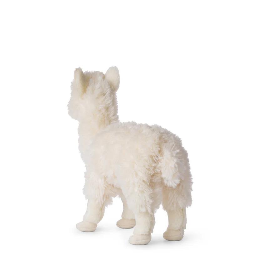product/w/w/wwf_15198001_blanc_3.jpg