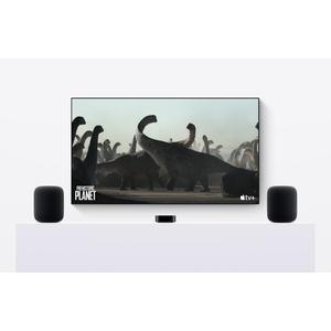 product/a/p/apple_cg36293_7.jpg