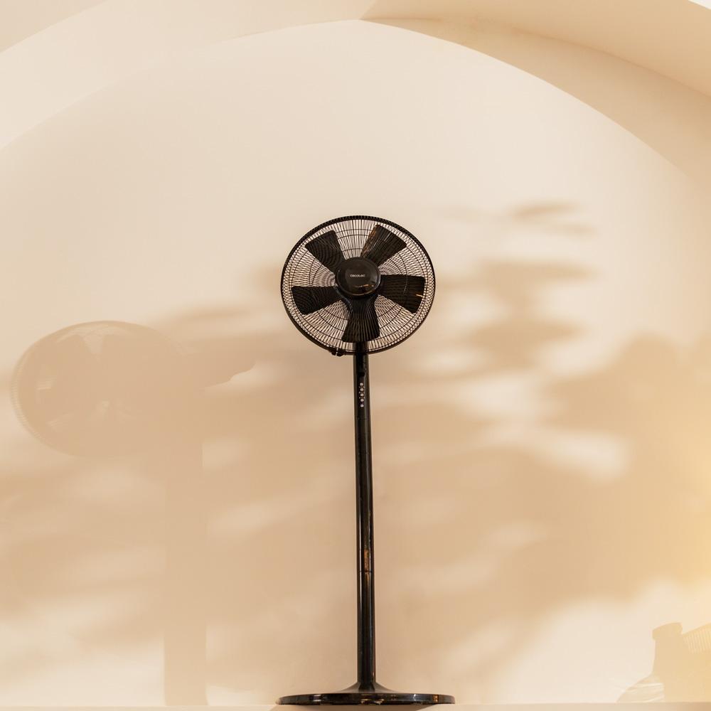 product/c/e/cecotec_05875_noir_3.jpg