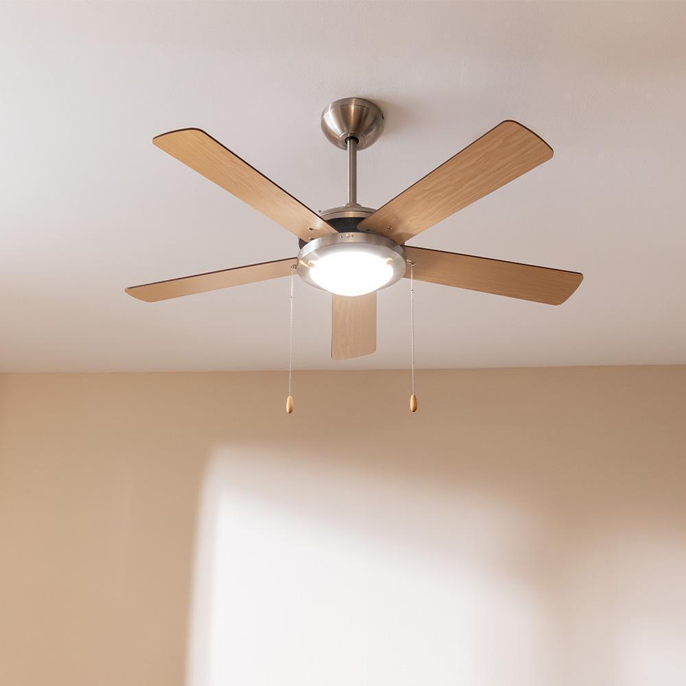 product/c/e/cecotec_05941_marron_3.jpg