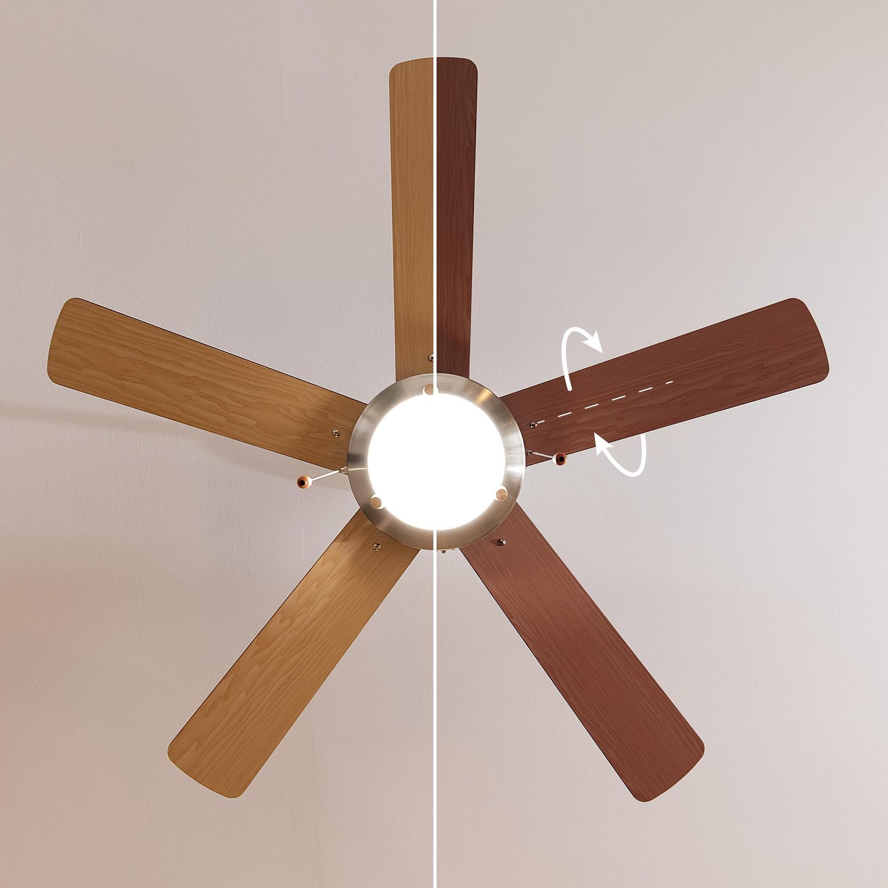 product/c/e/cecotec_05941_marron_5.jpg