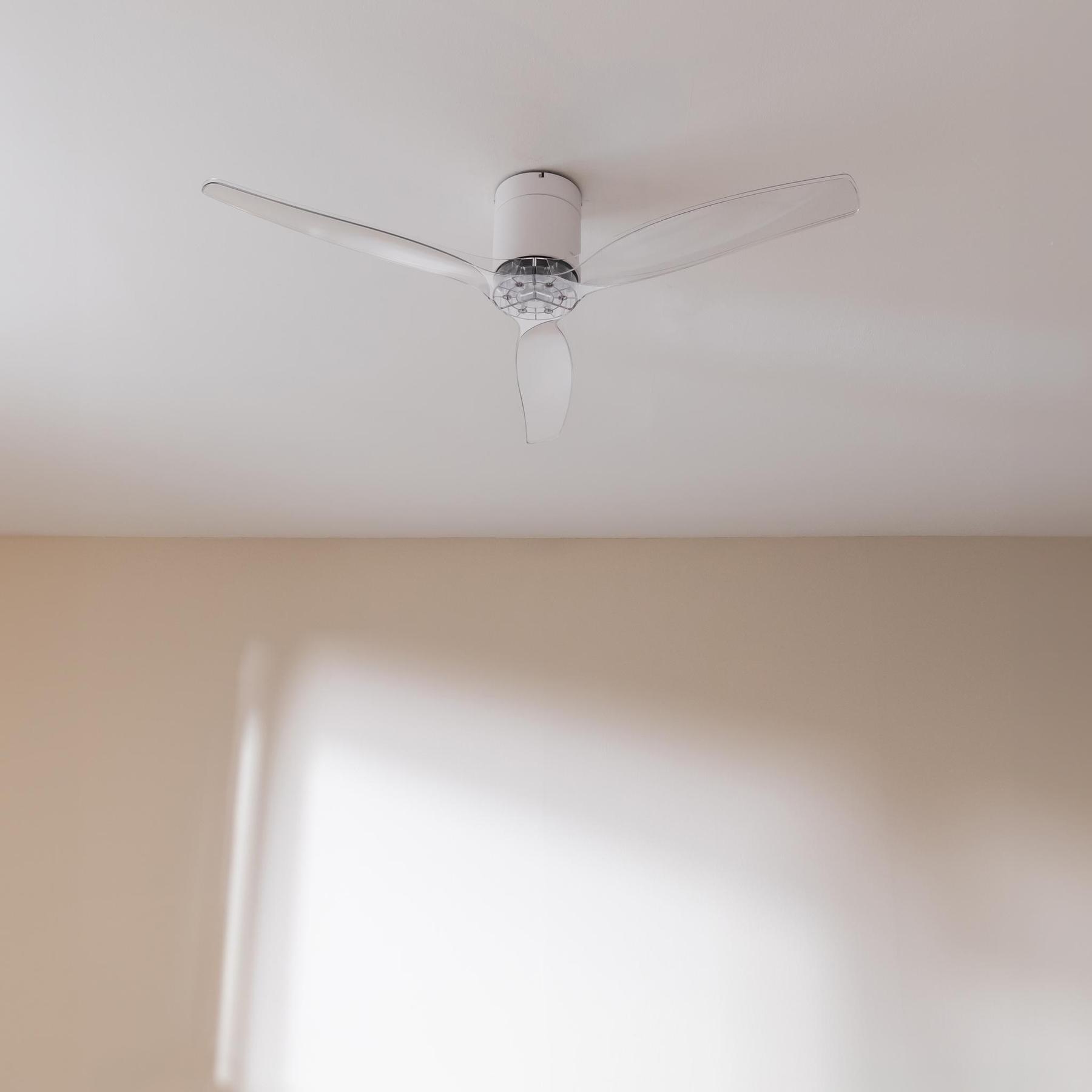 product/c/e/cecotec_08496_whitetransparent-connected_2.jpg