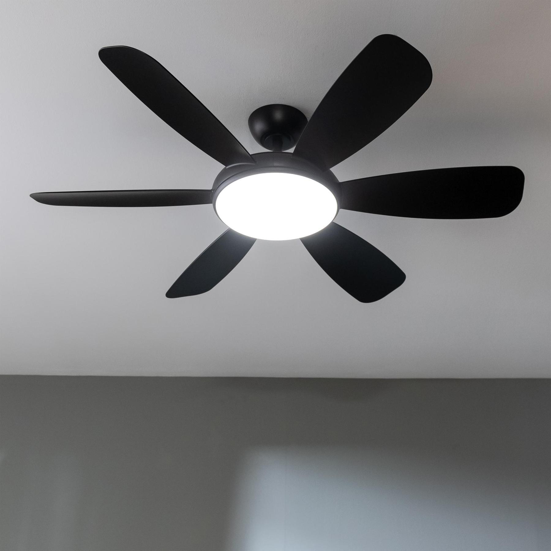 product/c/e/cecotec_08559_black-pro_3.jpg