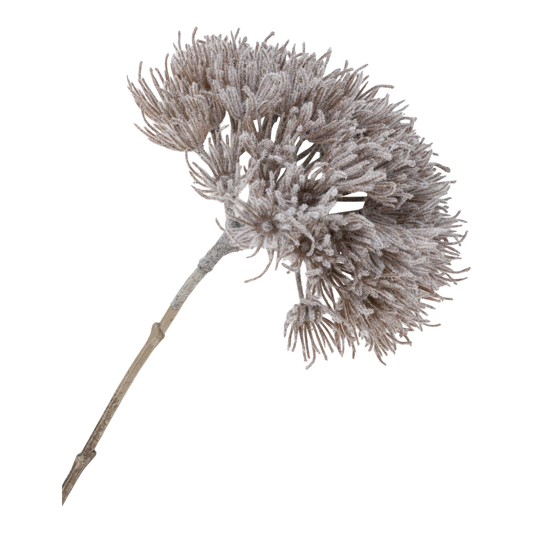 product/h/o/house-nordic_9501140_2.jpg