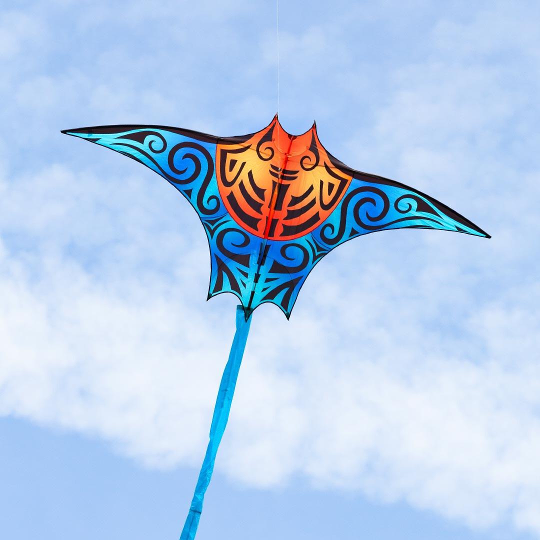 product/h/q/hq-kites_mantak_bleu_3.jpg