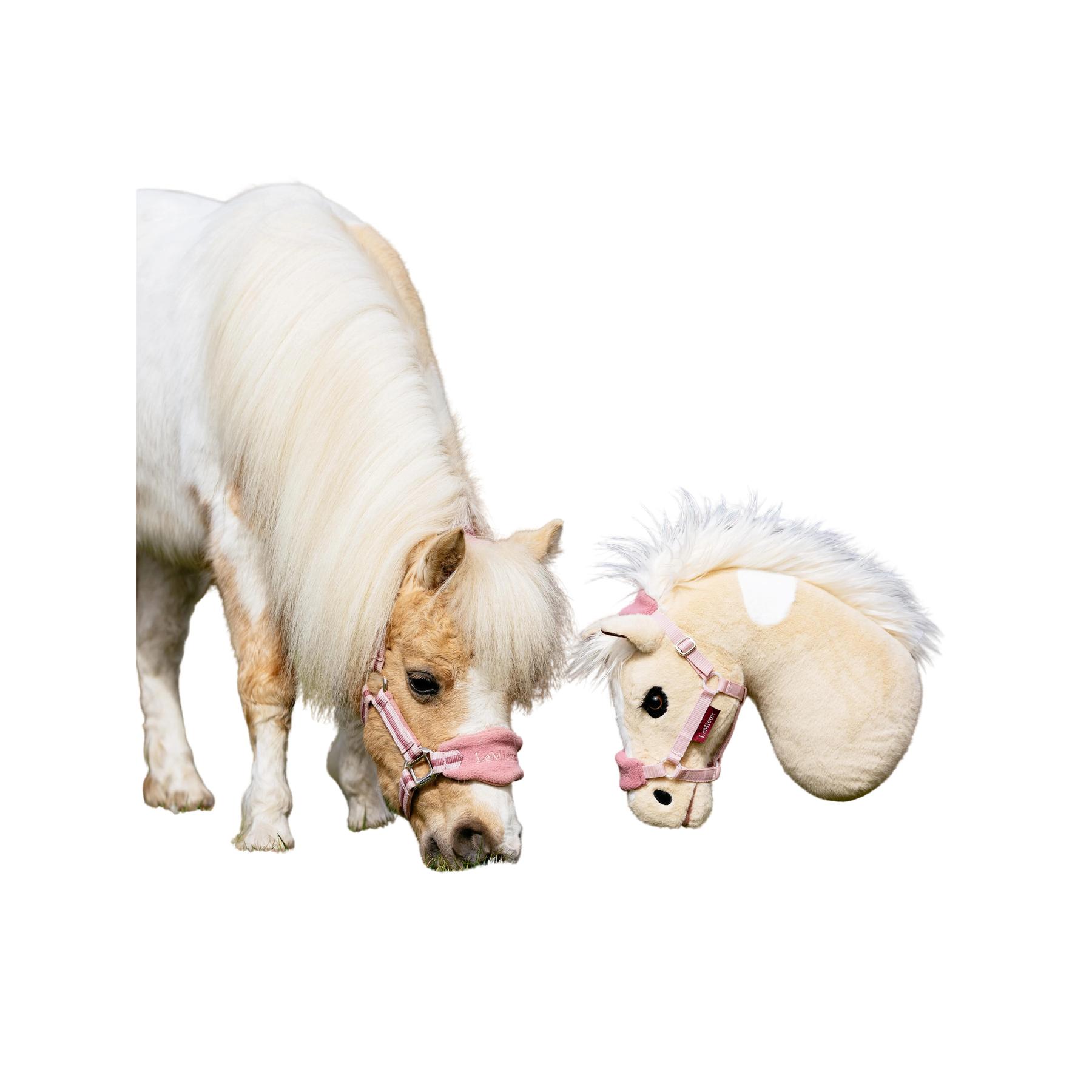 product/l/e/lemieux_it06250001_hobby-horse-lemon_2.jpg