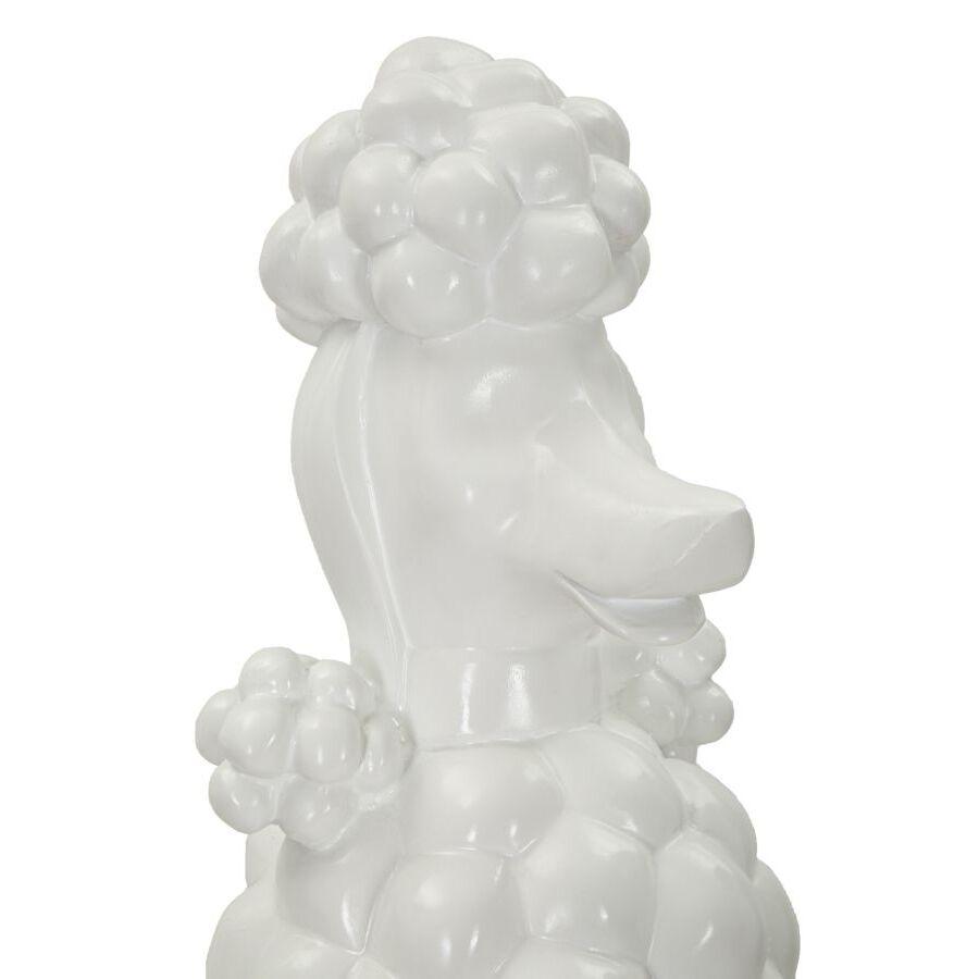 product/m/a/mauro-ferretti_0120100000_white_3.jpg