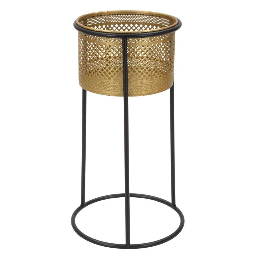 product/m/a/mauro-ferretti_1423930000_gold-black_1.jpg