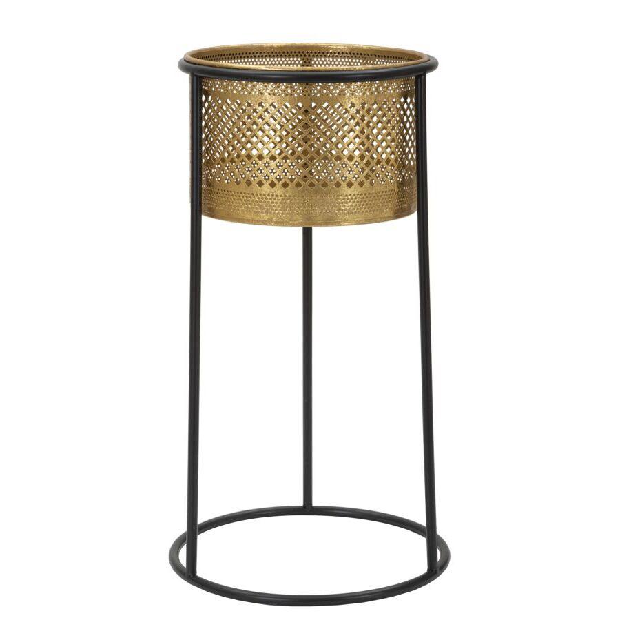 product/m/a/mauro-ferretti_1423930000_gold-black_2.jpg