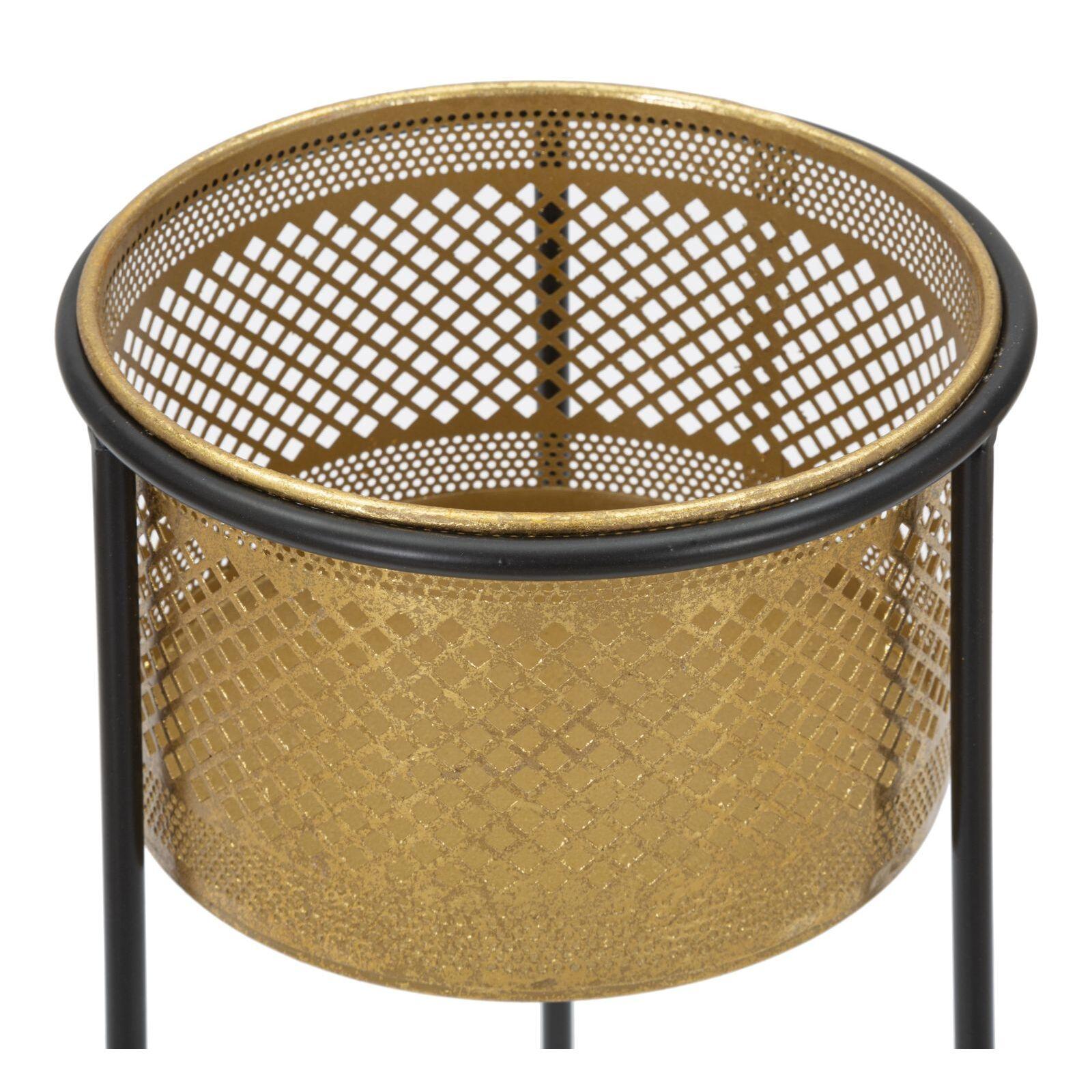 product/m/a/mauro-ferretti_1423930000_gold-black_3.jpg