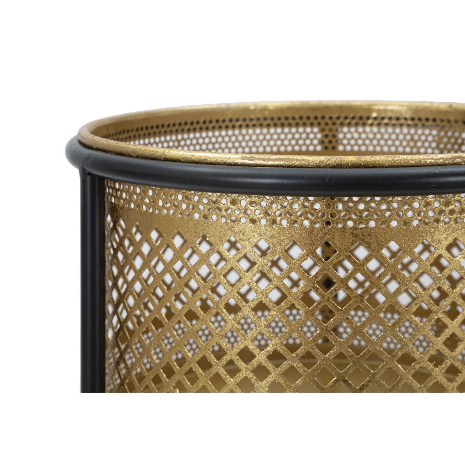 product/m/a/mauro-ferretti_1423930000_gold-black_4.jpg