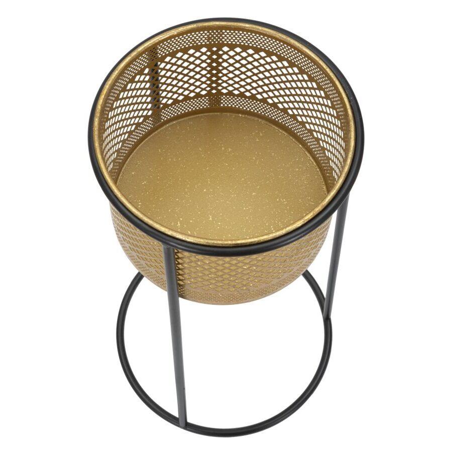 product/m/a/mauro-ferretti_1423930000_gold-black_5.jpg