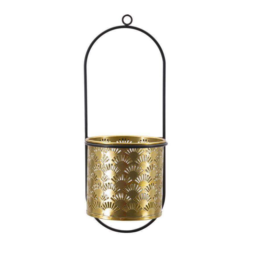 product/m/a/mauro-ferretti_1427840003_black-gold_1.jpg