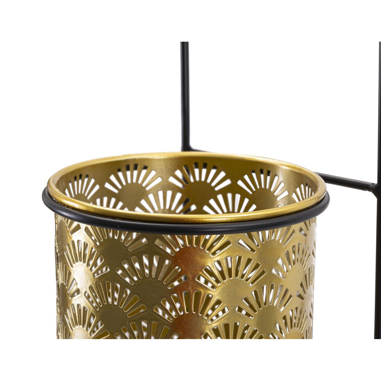 product/m/a/mauro-ferretti_1427840003_black-gold_3.jpg