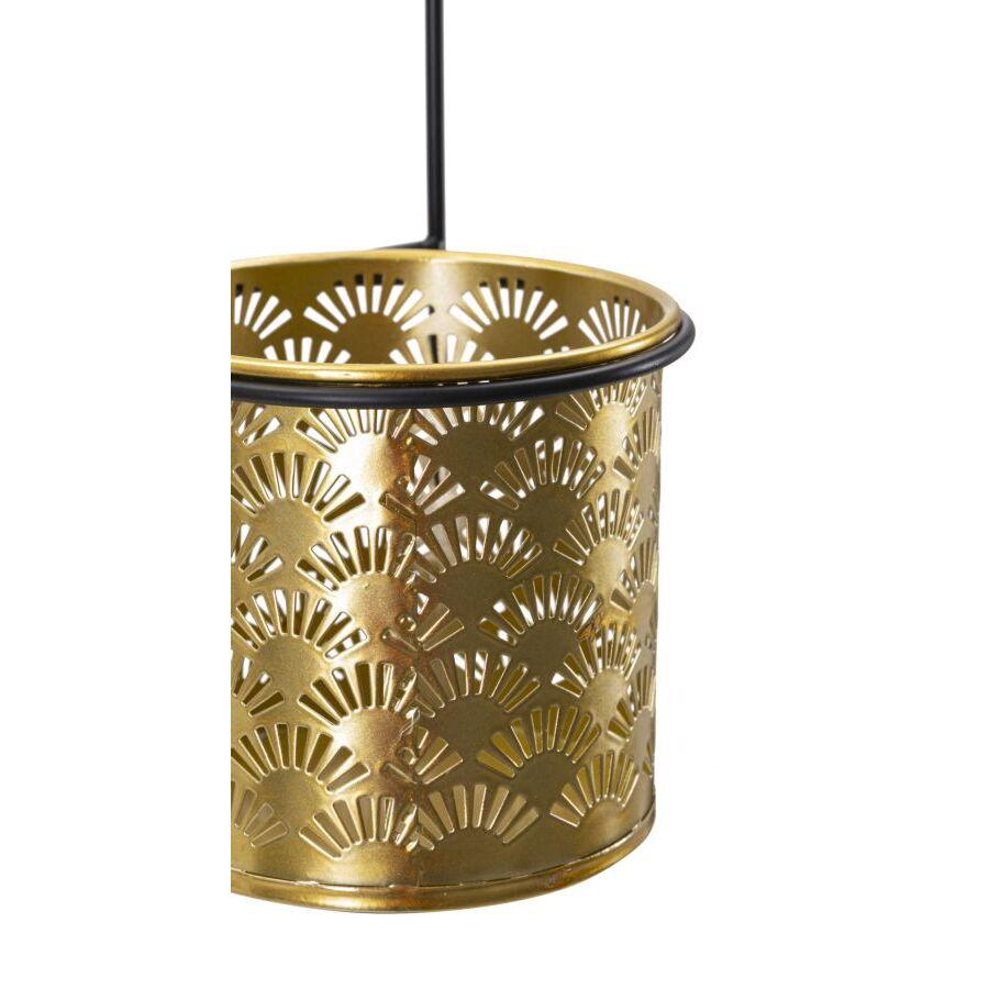 product/m/a/mauro-ferretti_1427840003_black-gold_4.jpg